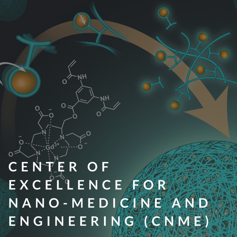 center of excellence for nano-medicine and engineering (CNME)