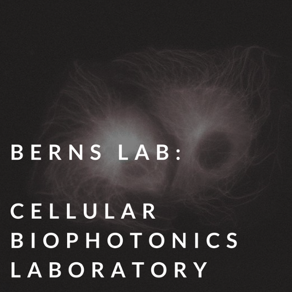 berns lab