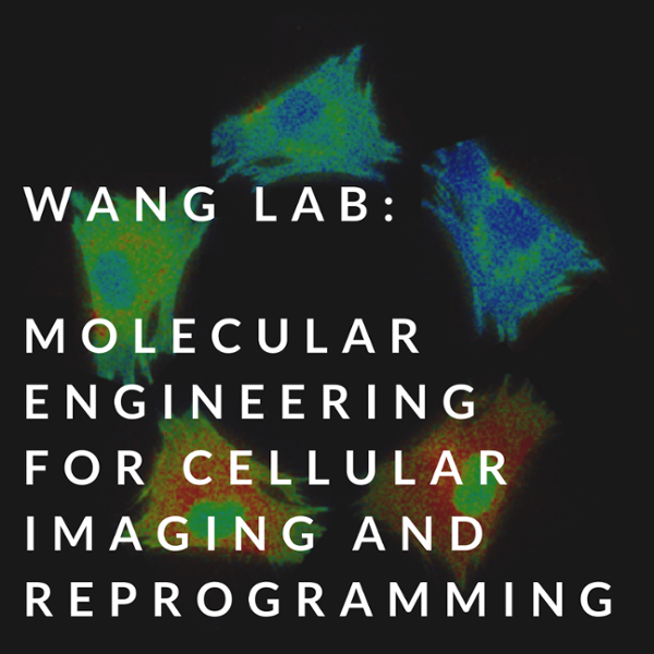 berns lab